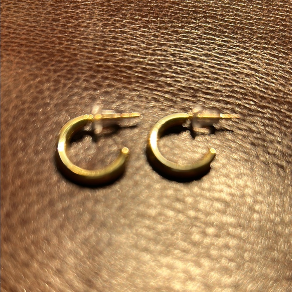NWOT Elegant Gold Hoop Earrings